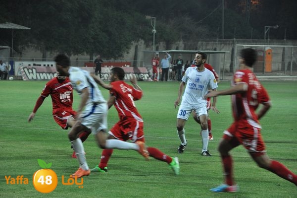 koraludn5478339 (53).JPG